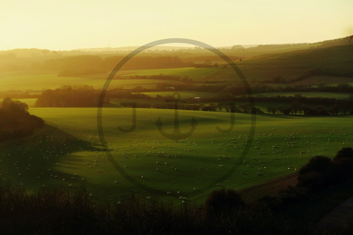 Ecchinswell Hampshire Sunrise Rolling Green Hills Sheep Poster - Image 3