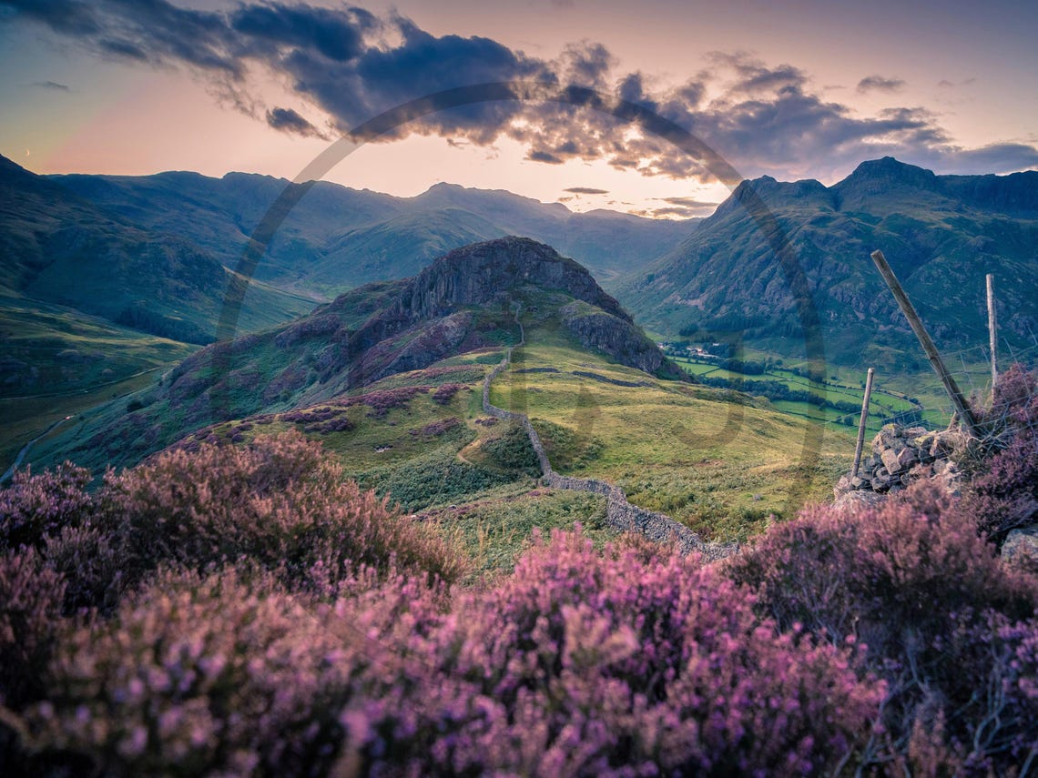 Mountain Ridge at Sunset Purple Heather Moorland Valley Poster - Image 3