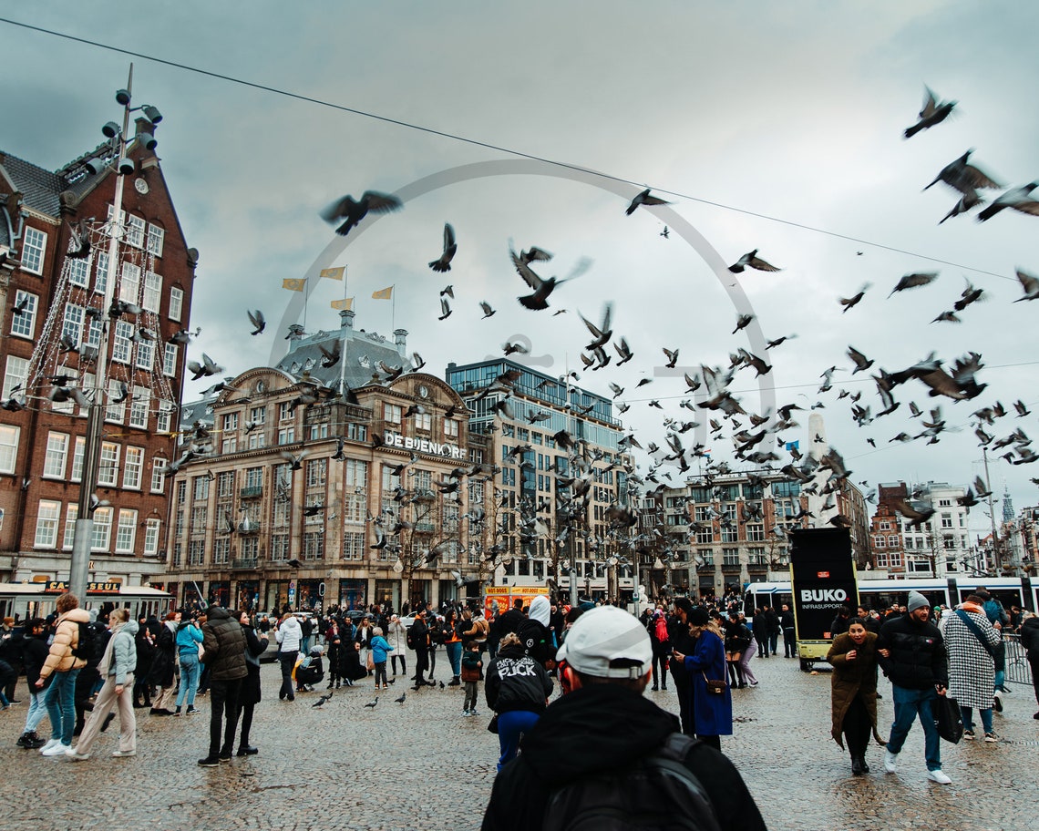 Dam Square Amsterdam Pigeons Flying Over Crowded City Plaza Poster - Image 3