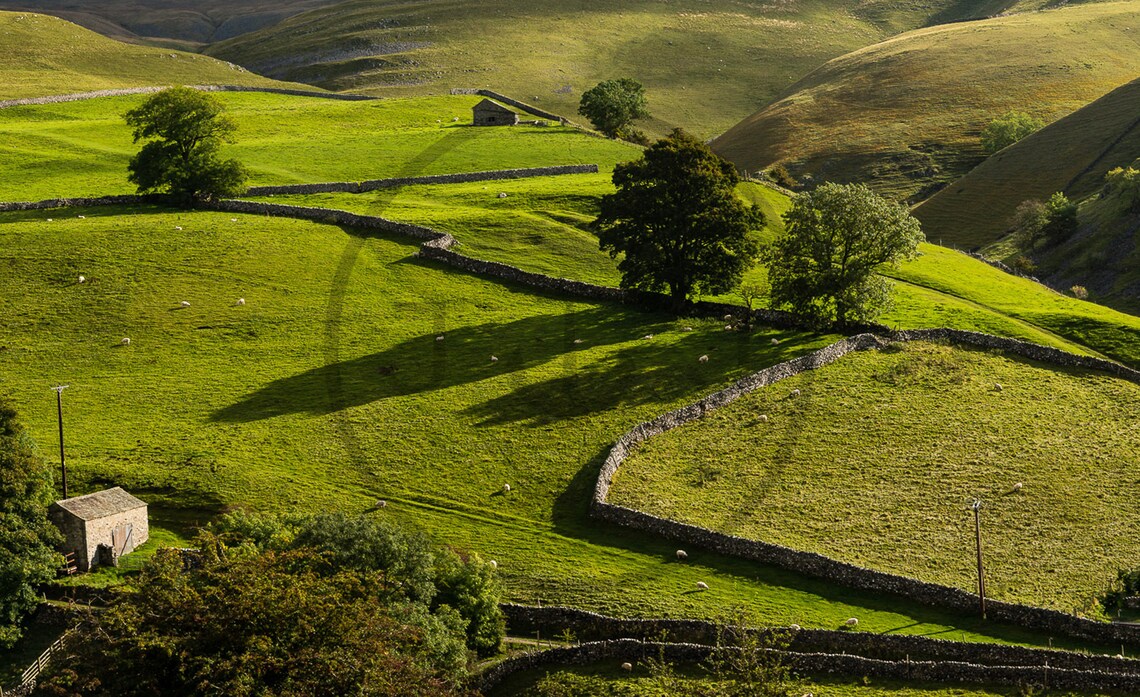 Yorkshire Dales Green Pasture Stone Walls Sheep Hills Poster - Image 3
