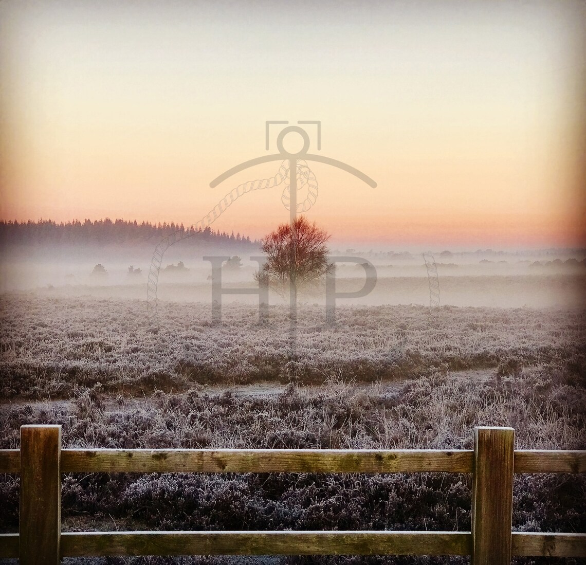 New Forest Hampshire Winter Frost Misty Heathland Morning Poster - Image 3