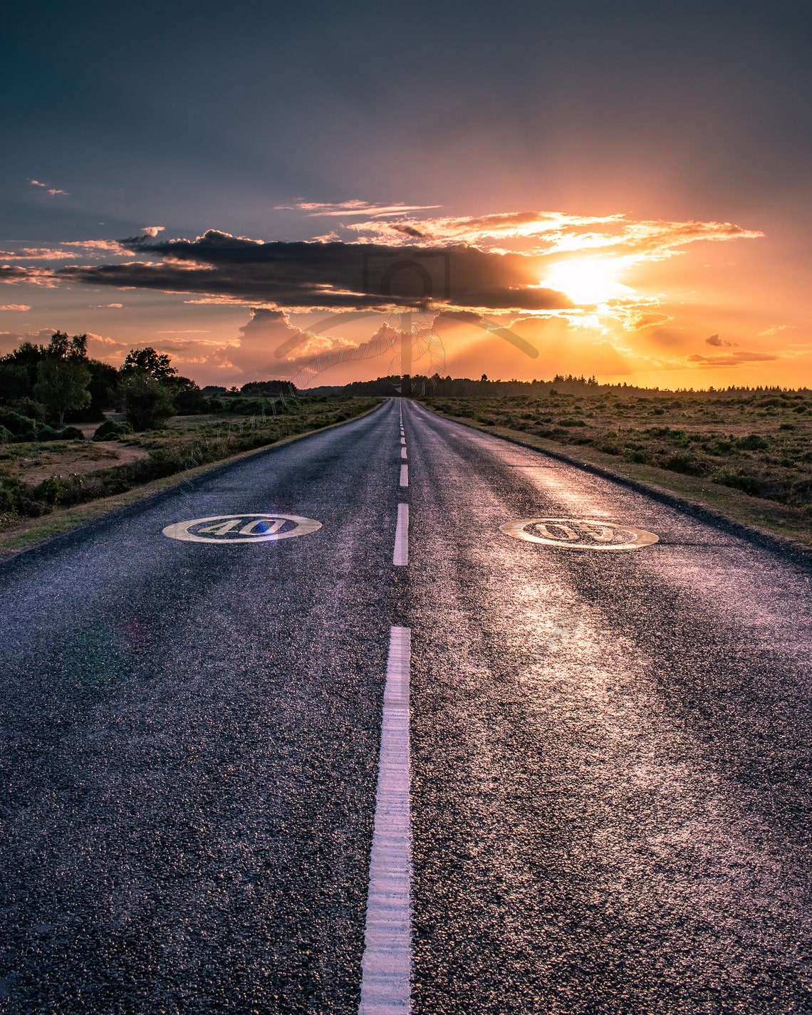 New Forest Hampshire Sunset Open Road Into Golden Light Poster - Image 3