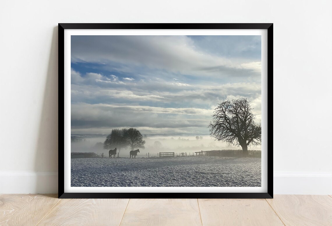 Dorset Countryside Horses Snowy Field Misty Winter Morning Poster