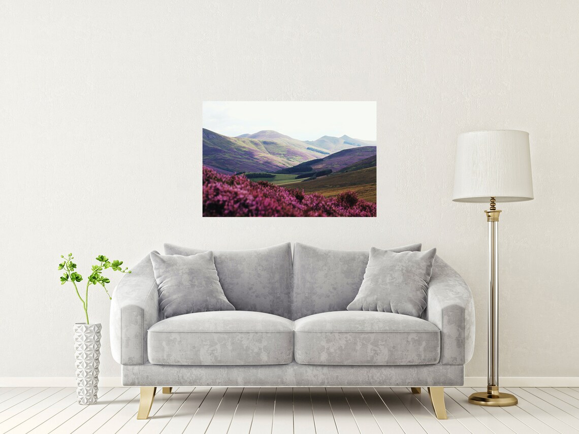 Pentland Hills Scotland Purple Heather Bloom Mountain View Poster - Image 2