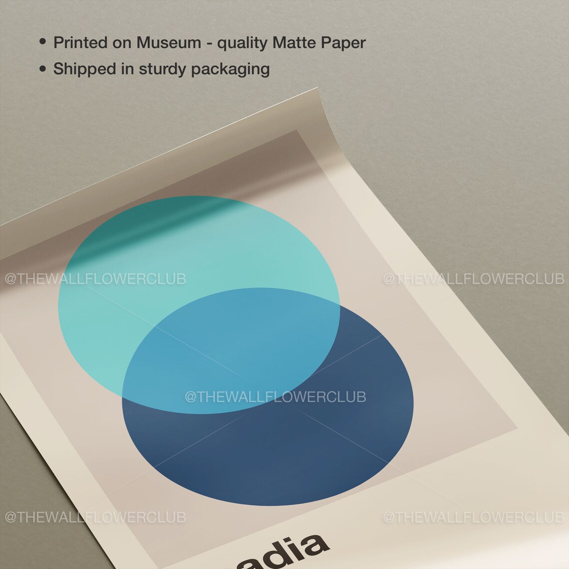 Acadia National Park Maine Abstract Minimalist Circles Art Poster - Image 3