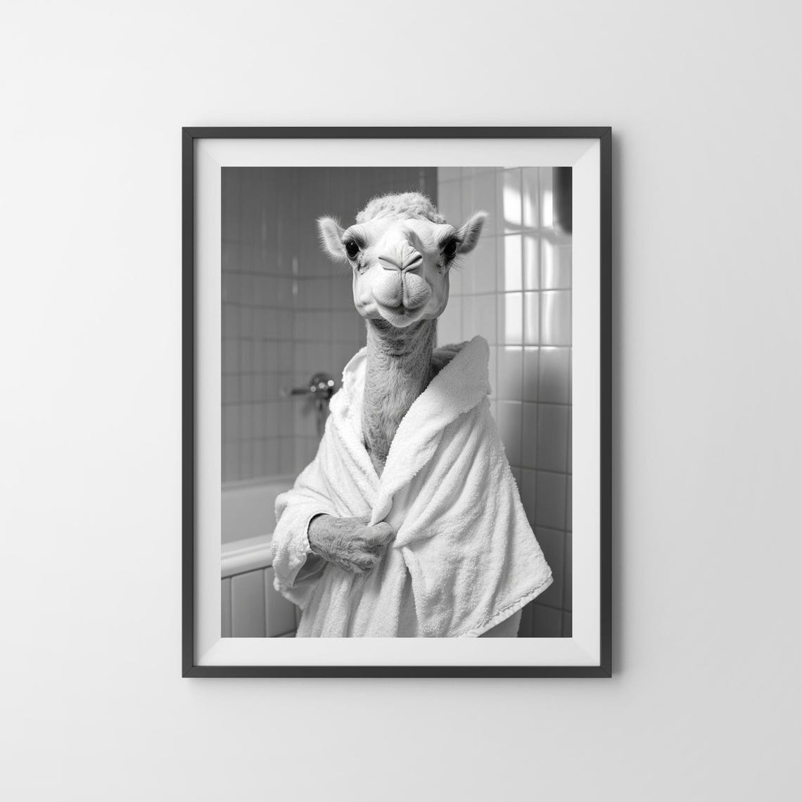 Camel In A Bathrobe Funny Black And White Bathroom Wall Poster - Image 3