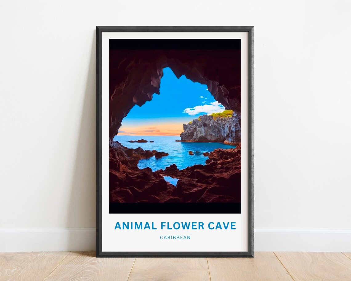 Animal Flower Cave Caribbean Sunset Ocean Cavern Photography Poster