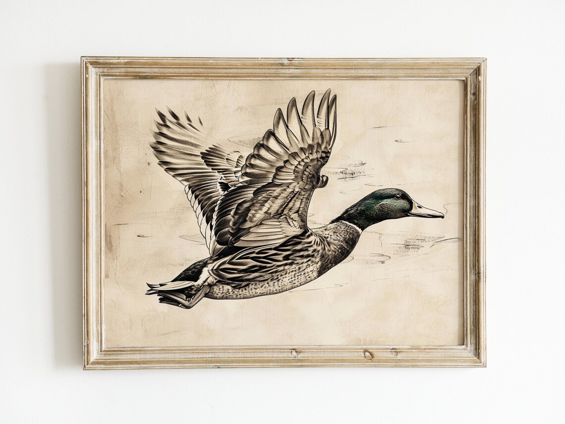 Vintage Duck Sketch Rustic Farmhouse Art Print