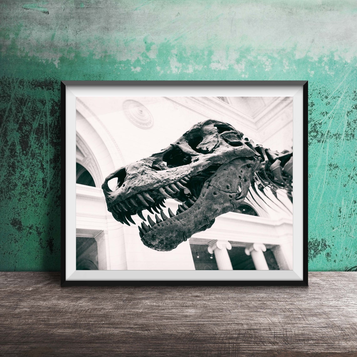 Sue the T Rex Skull Field Museum Chicago Black White Photo Poster