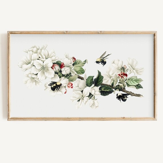 Vintage Blossom Branch Bees Cottagecore Spring Illustration Poster