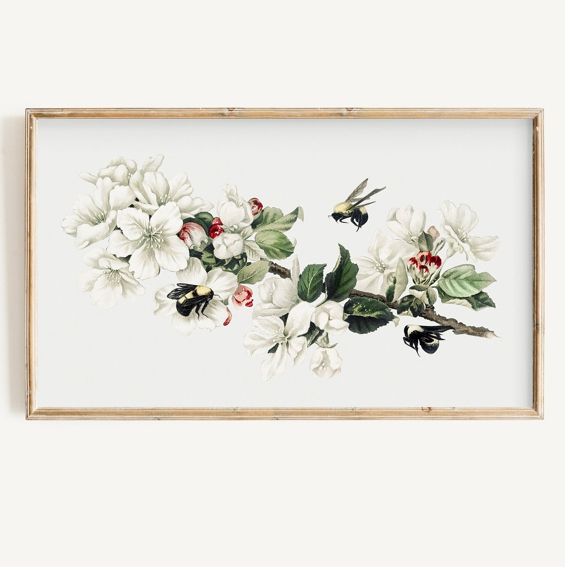 Vintage Blossom Branch Bees Cottagecore Spring Illustration Poster