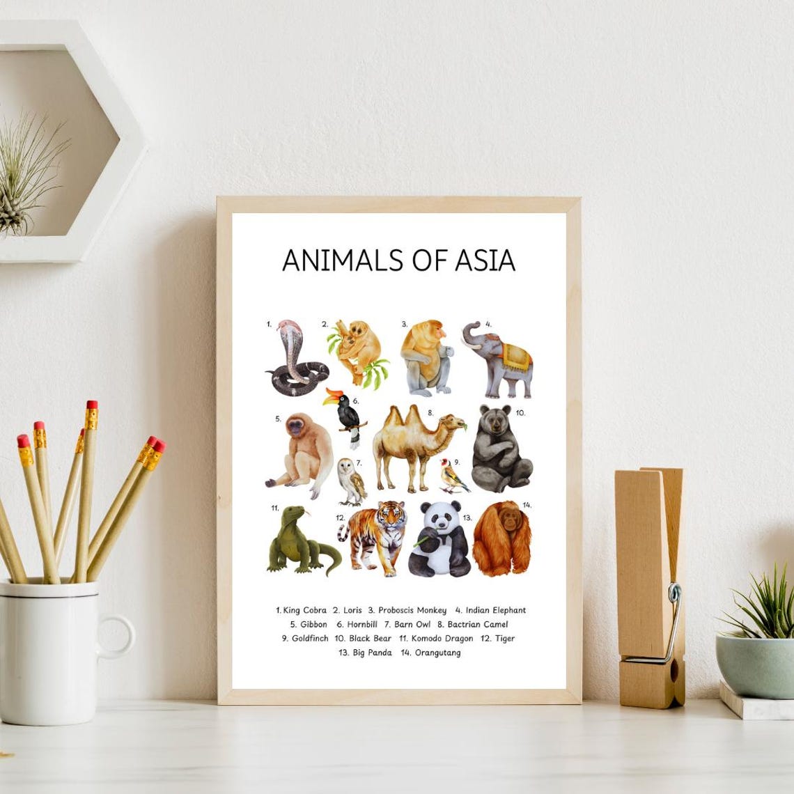 Animals Of Asia Educational Chart Kids Animal Learning Poster - Image 4