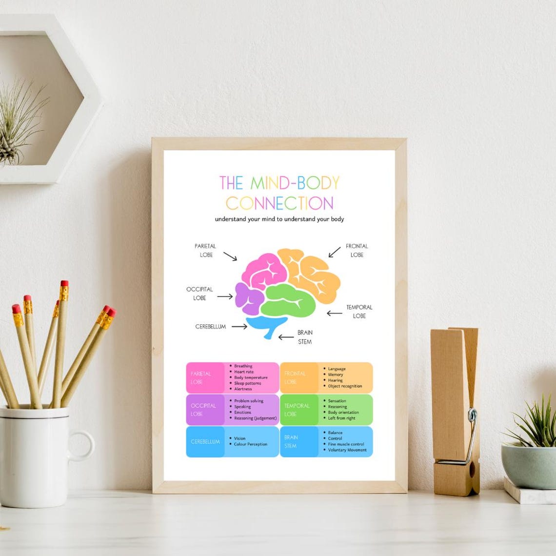 Mind Body Connection Brain Lobes Chart Bright Rainbow Therapy Poster - Image 4