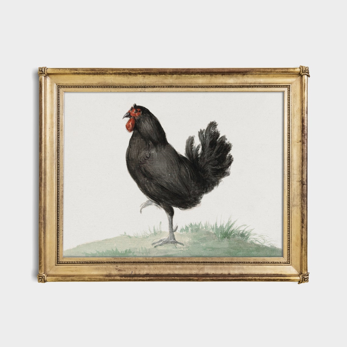 Black Rooster with a Red Comb Standing in Grass Vintage Print - Image 2
