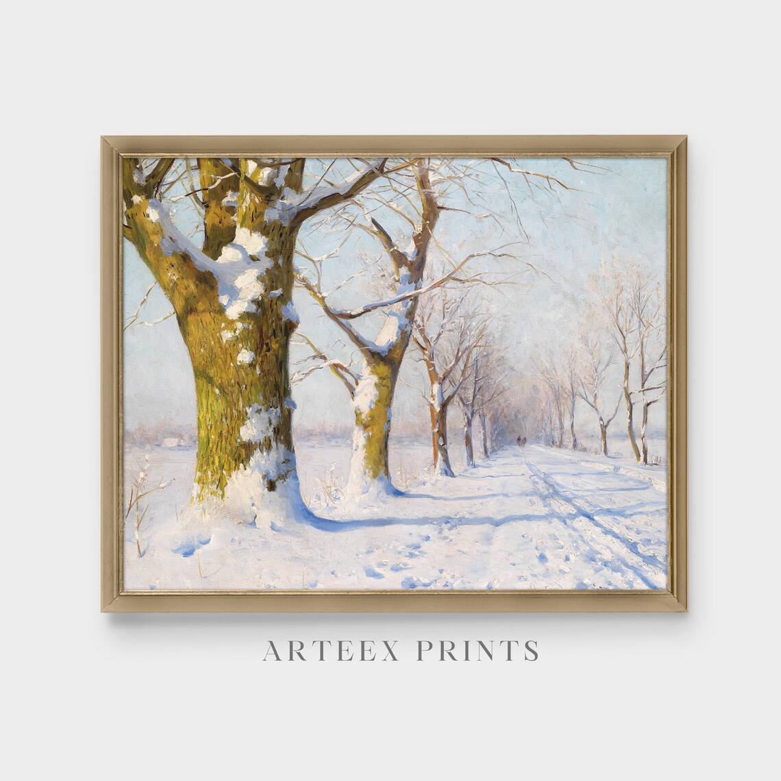Sunlit Snowy Avenue of Tall Trees Stretching Into Distance Poster - Image 4