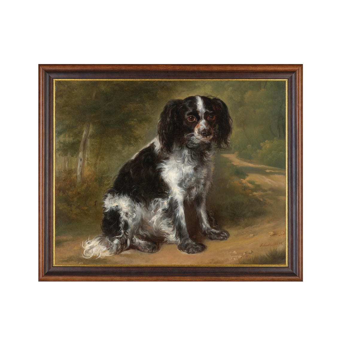 Black and White Spaniel Sitting on a Woodland Path Portrait Poster
