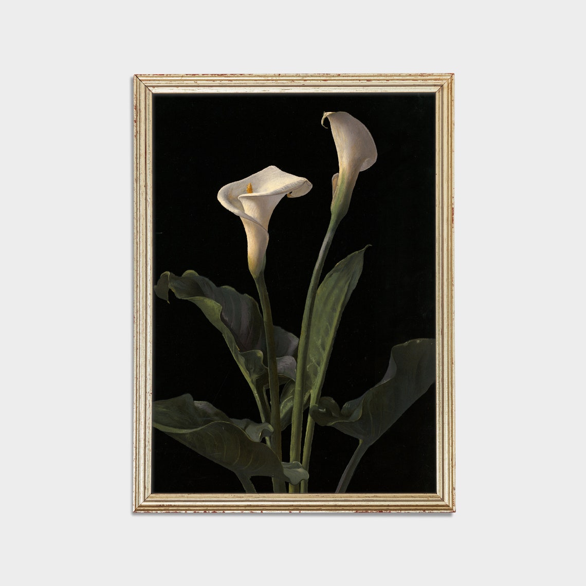 Two White Calla Lilies On Black Background Elegant Floral Art Poster - Image 2