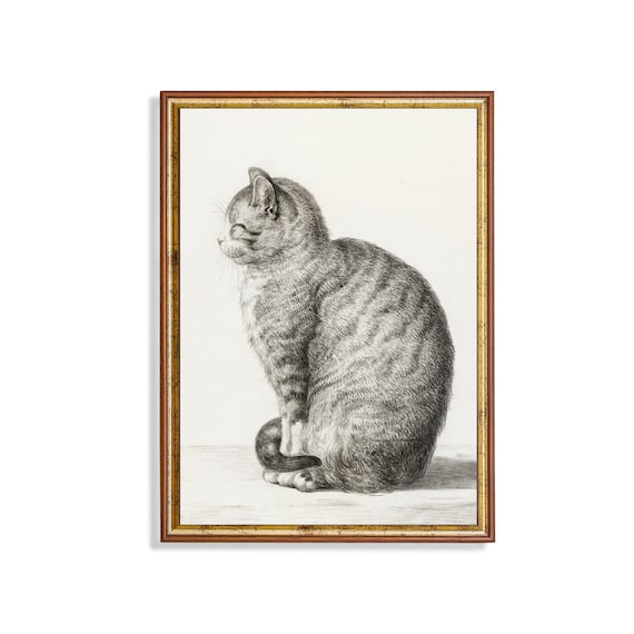 Tabby Cat Sitting Upright in a Vintage Pencil Drawing Poster