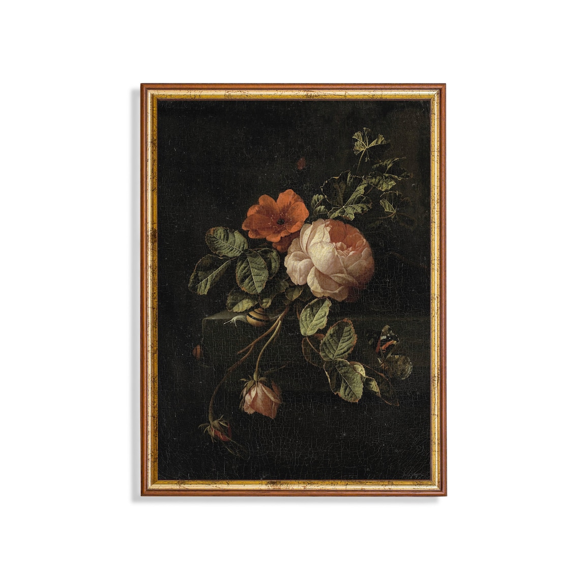White Rose and Red Poppy Still Life with Butterfly on Dark Poster