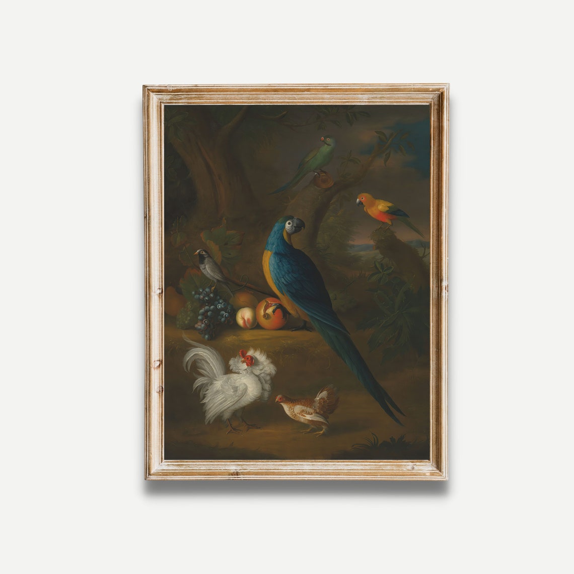 Blue and Gold Macaw With Fresh Fruit in a Dark Woodland Poster - Image 3