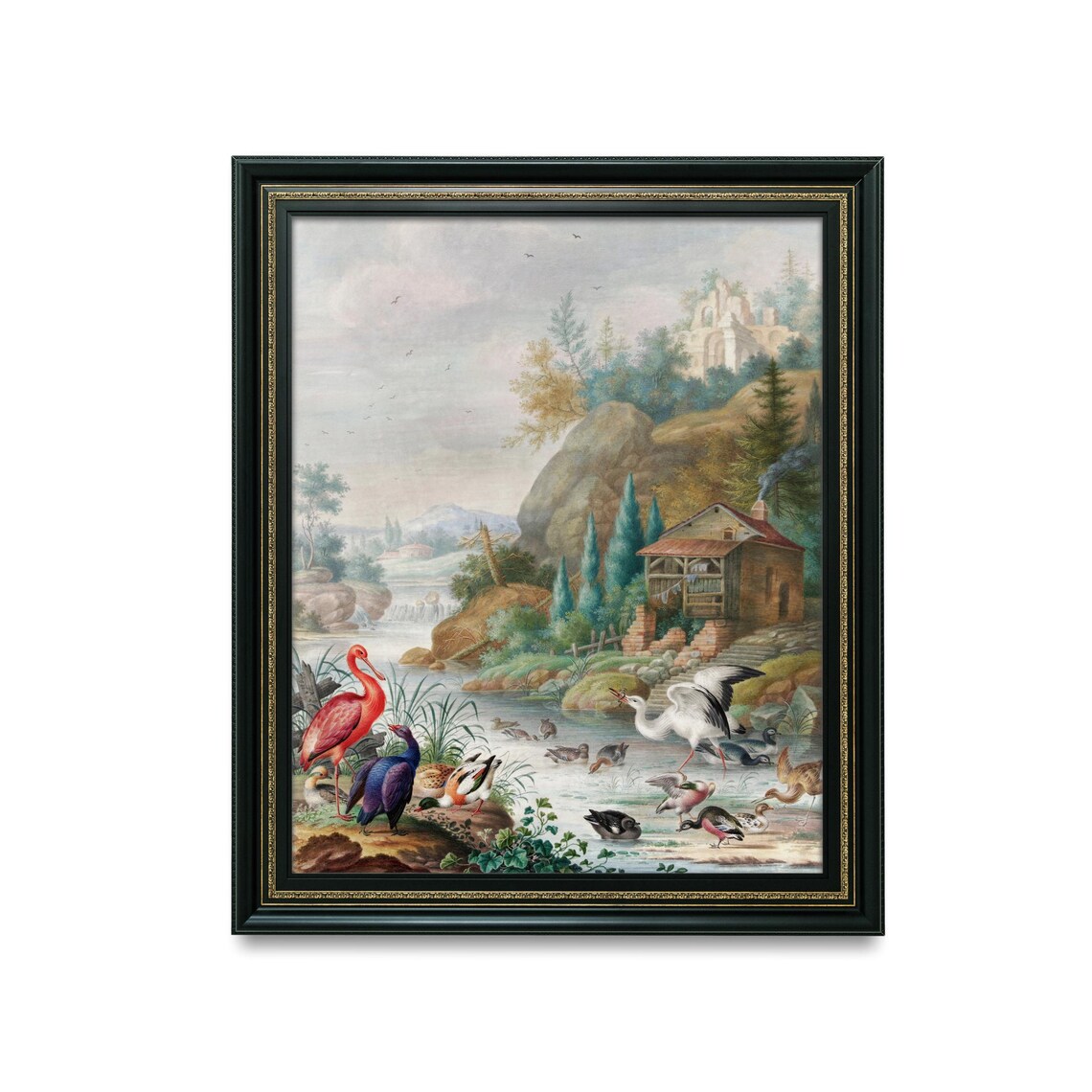 Antique Ornithology Flamingo Heron Ducks Waterfowl Pond Scene Poster
