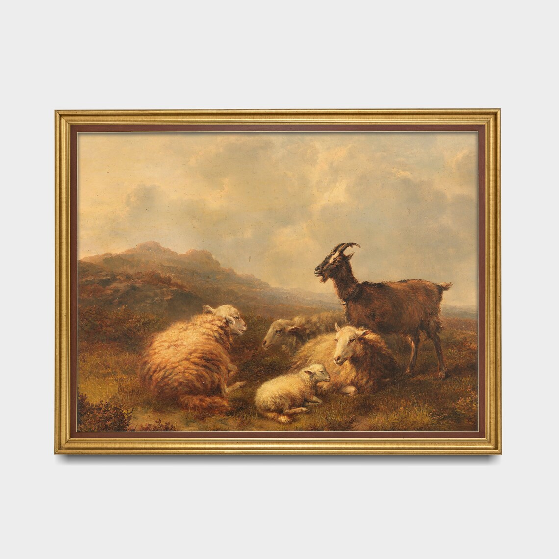 Goat and Sheep Resting in a Highland Pasture Painting Poster - Image 3