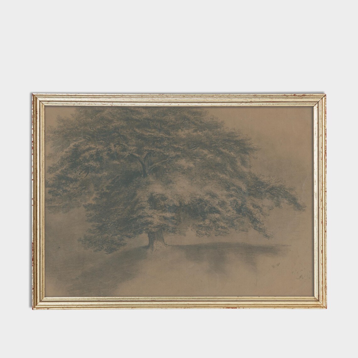 Sepia Sketch Great Spreading Tree Field Vintage Drawing Art Poster - Image 3