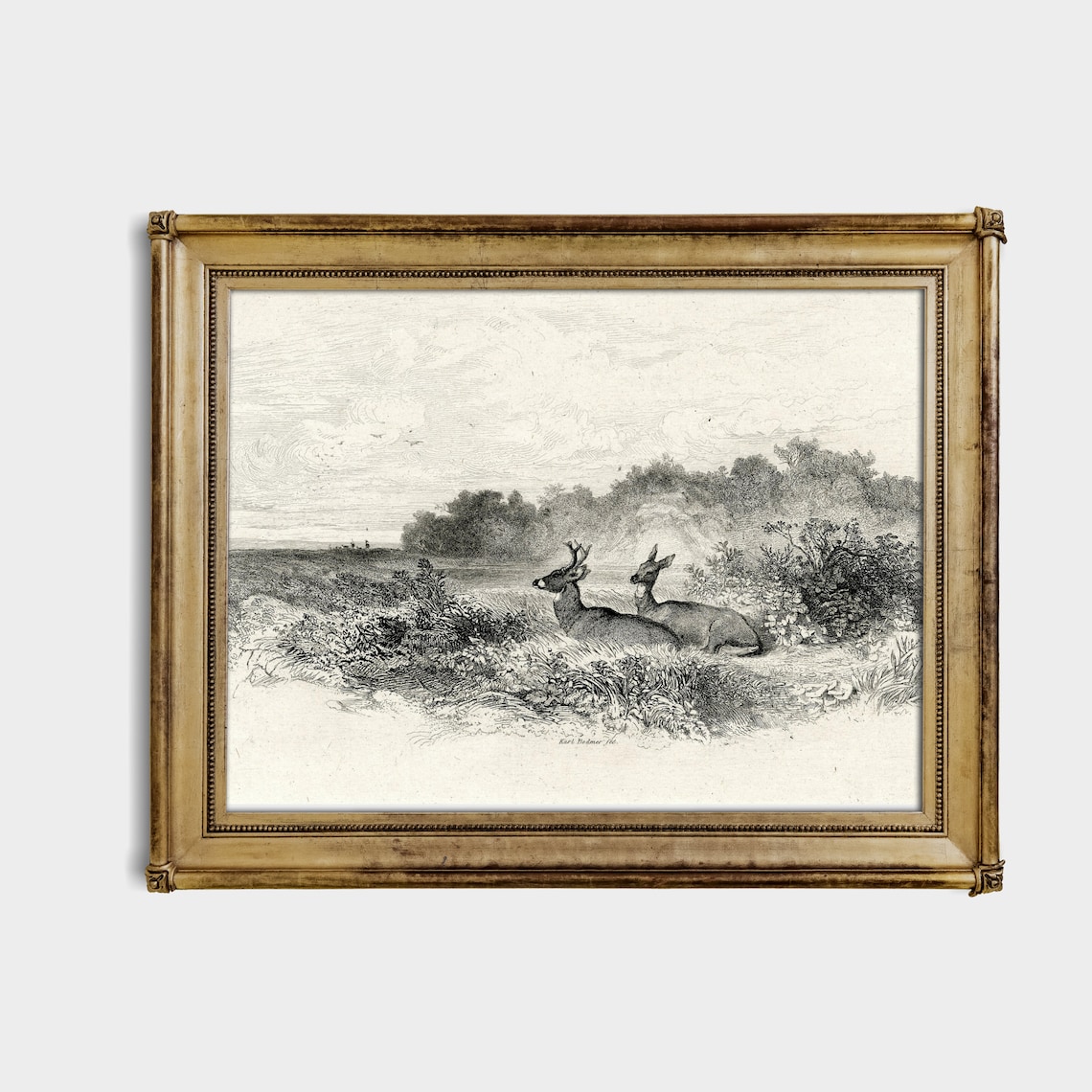 Vintage Deer Sketch, Neutral Farmhouse Art Print - Image 4