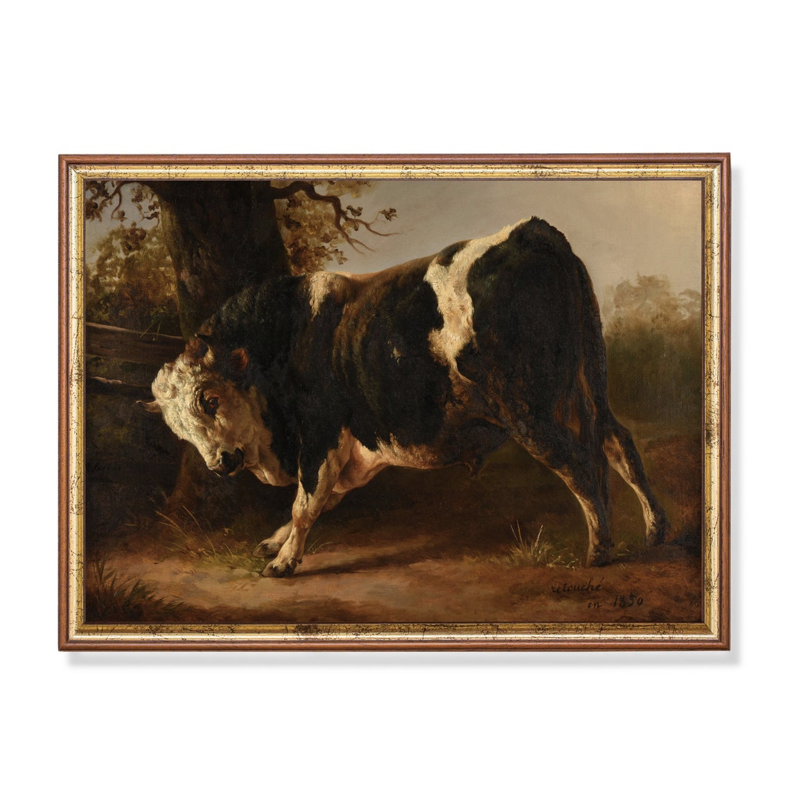 Printed And Shipped Vintage Animal Print Antique Bull Painting Farm Animal Art Farmhouse Decor Fine Art Physical Art Print