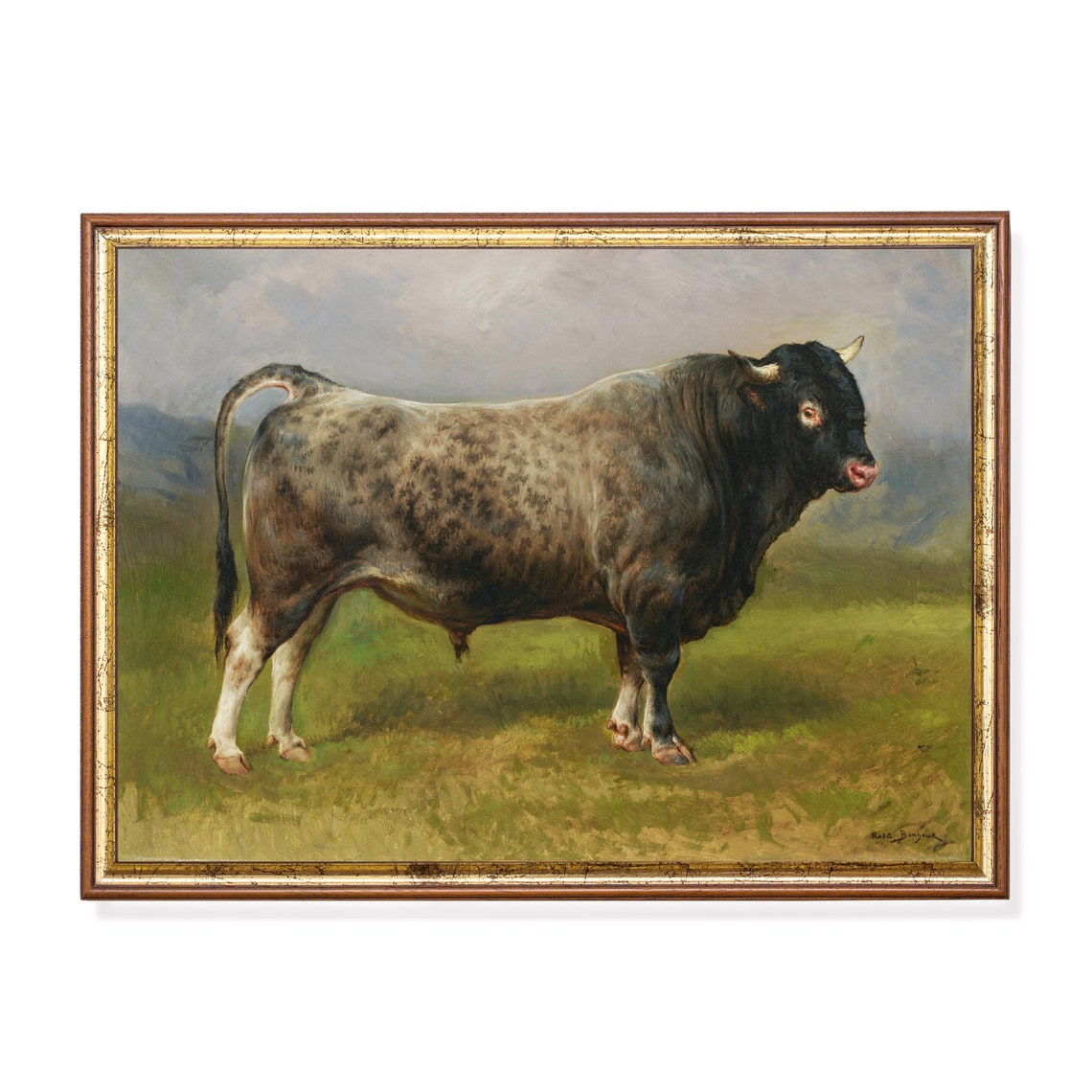Printed And Shipped Vintage Animal Print Antique Bull Painting Farm Animal Art Farmhouse Decor Fine Art Physical Art Print