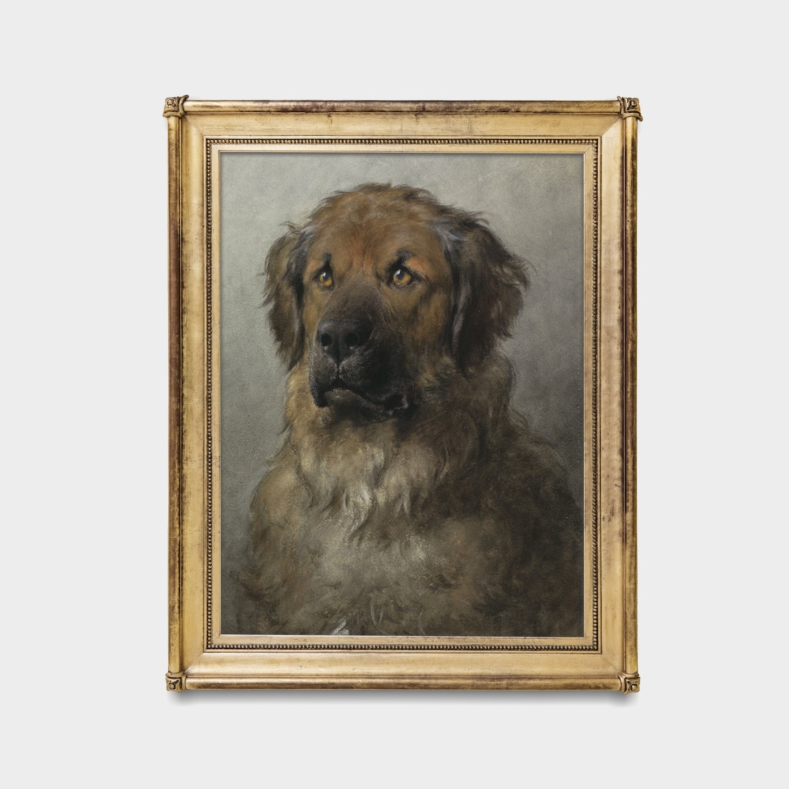 Antique Leonberger Dog Portrait Vintage Animal Painting Poster - Image 4