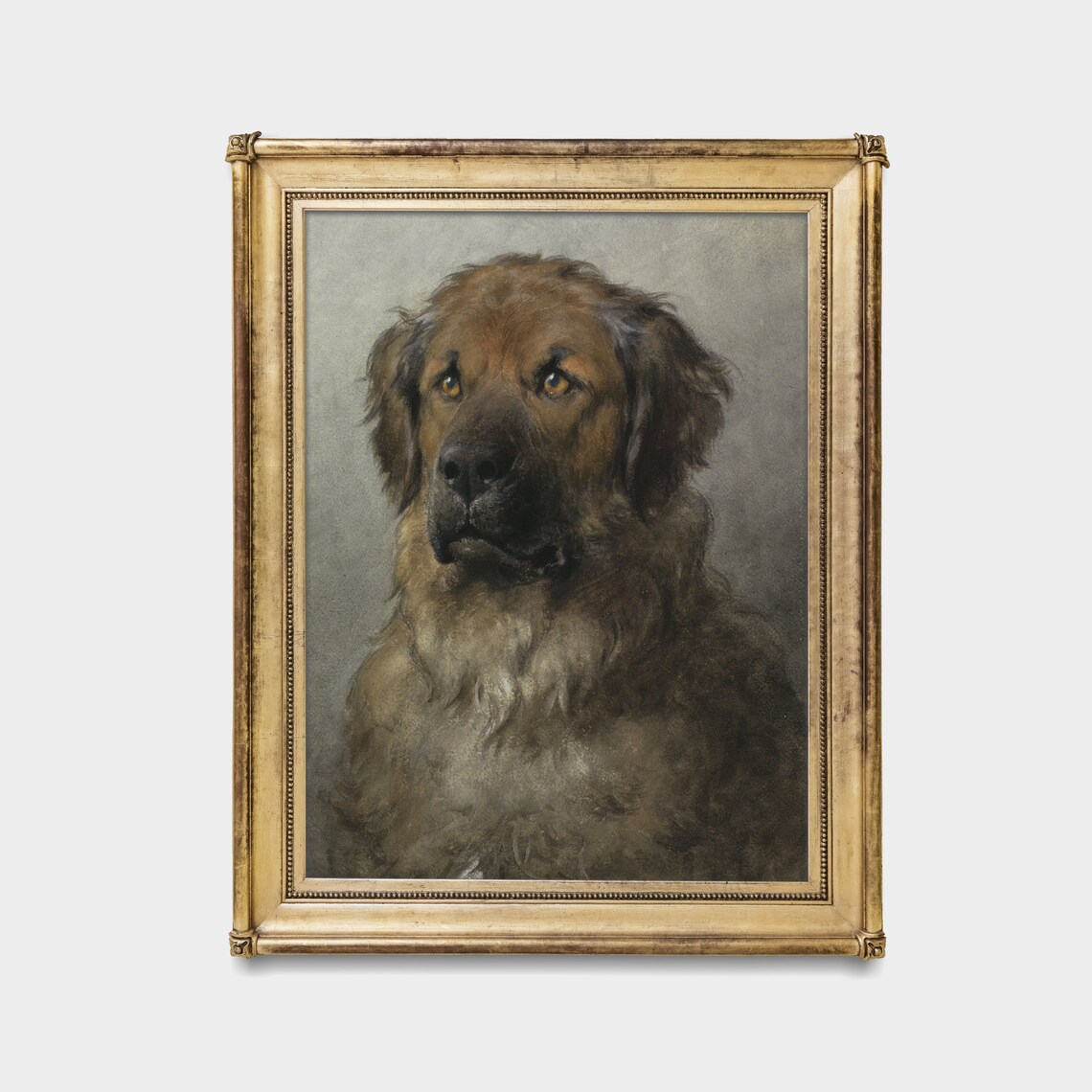 Leonberger Vintage Dog Portrait, Farmhouse Art Print - Image 2
