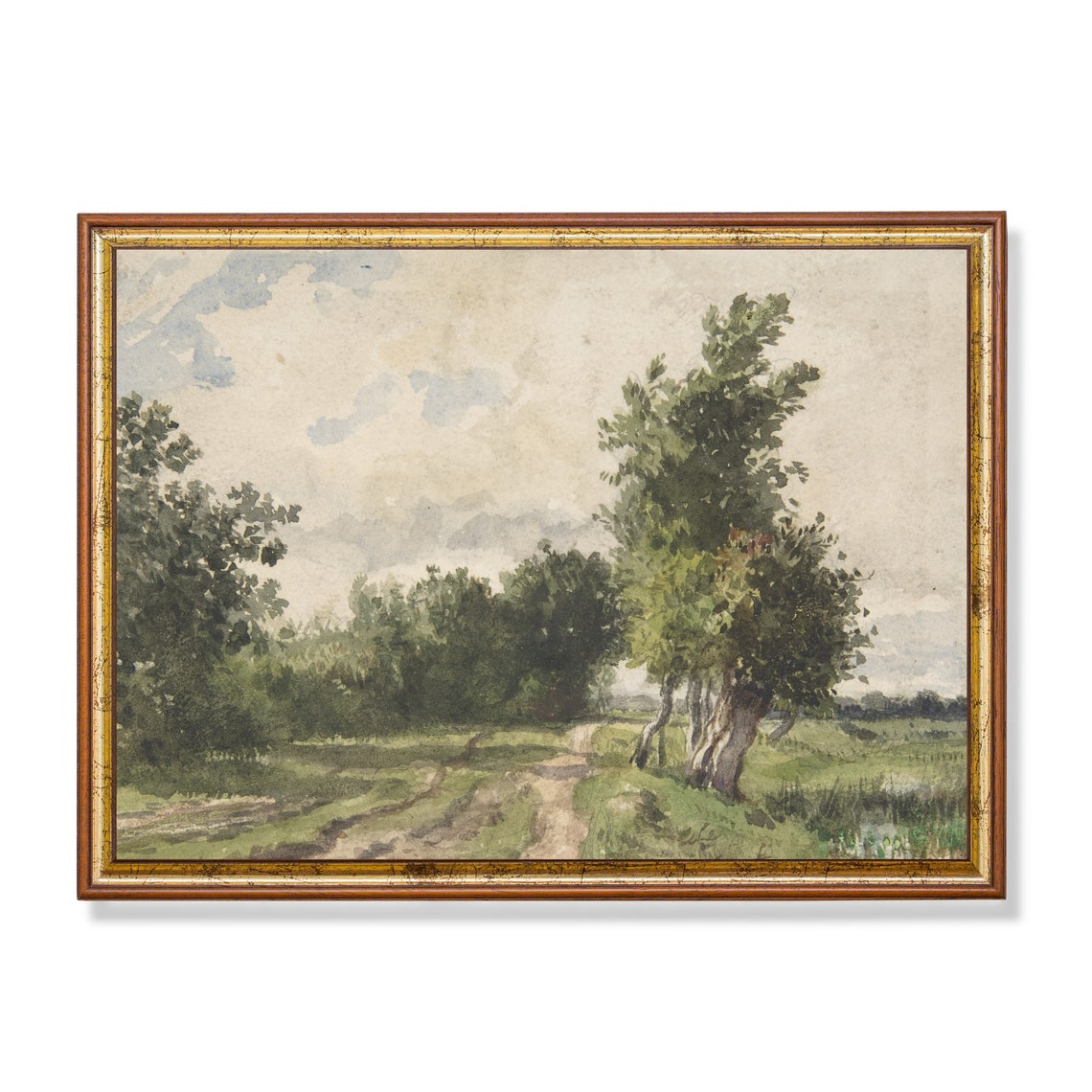 Sunlit Country Lane Flanked by Tall Leafy Trees Watercolor Poster