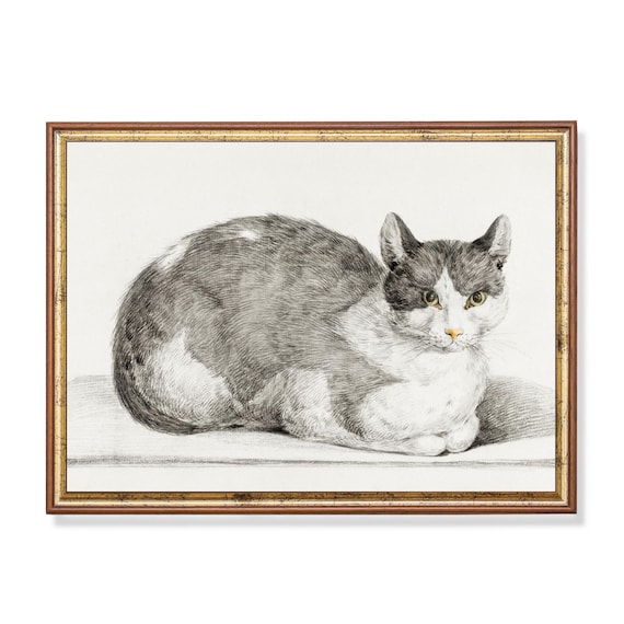 Detailed Pencil Sketch Grey White Cat Lying Down Feline Art Poster
