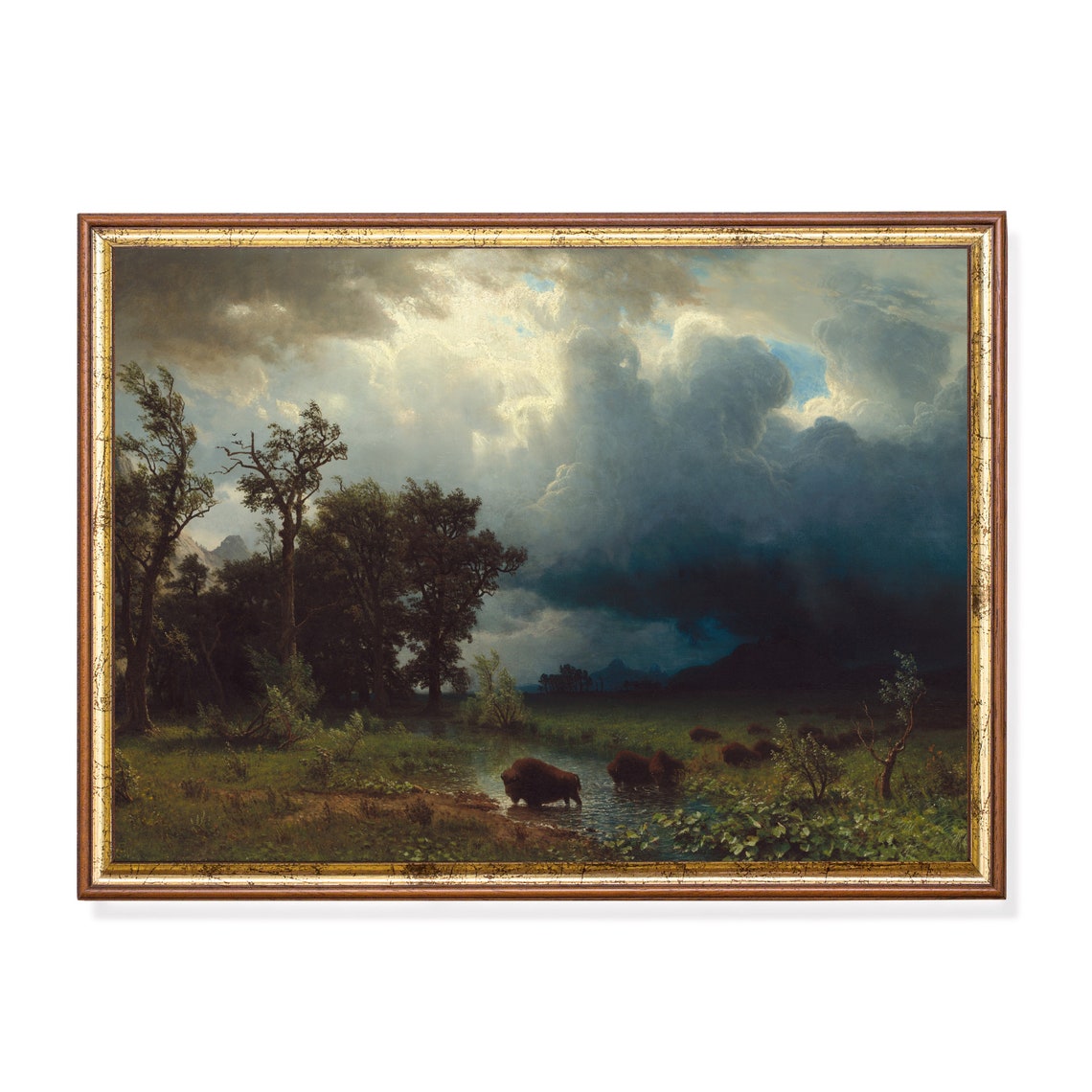 Buffalo at a Watering Hole Under Storm Clouds Vintage Art Poster