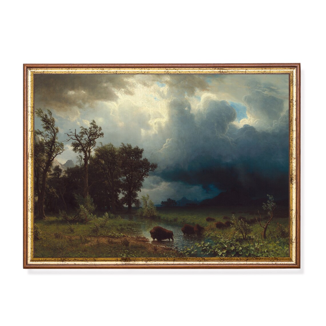 Vintage Buffalo Country Landscape Poster Print