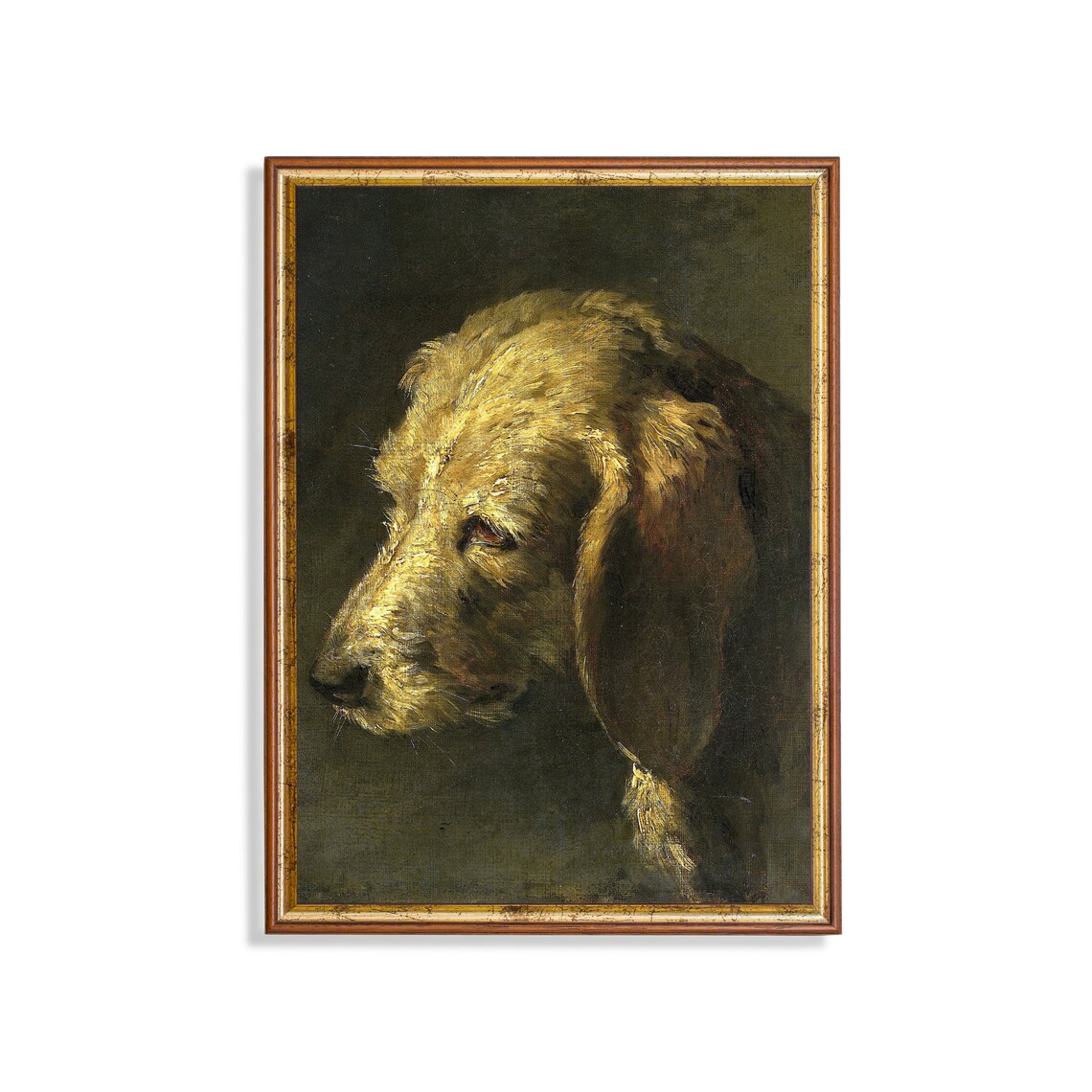 Close Study of a Golden Hound's Head Vintage Dog Portrait Poster