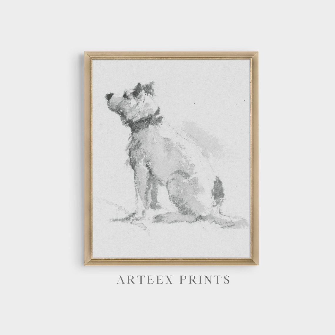 Seated Terrier Dog Gazing Upward Antique Pencil Sketch Study Poster - Image 5