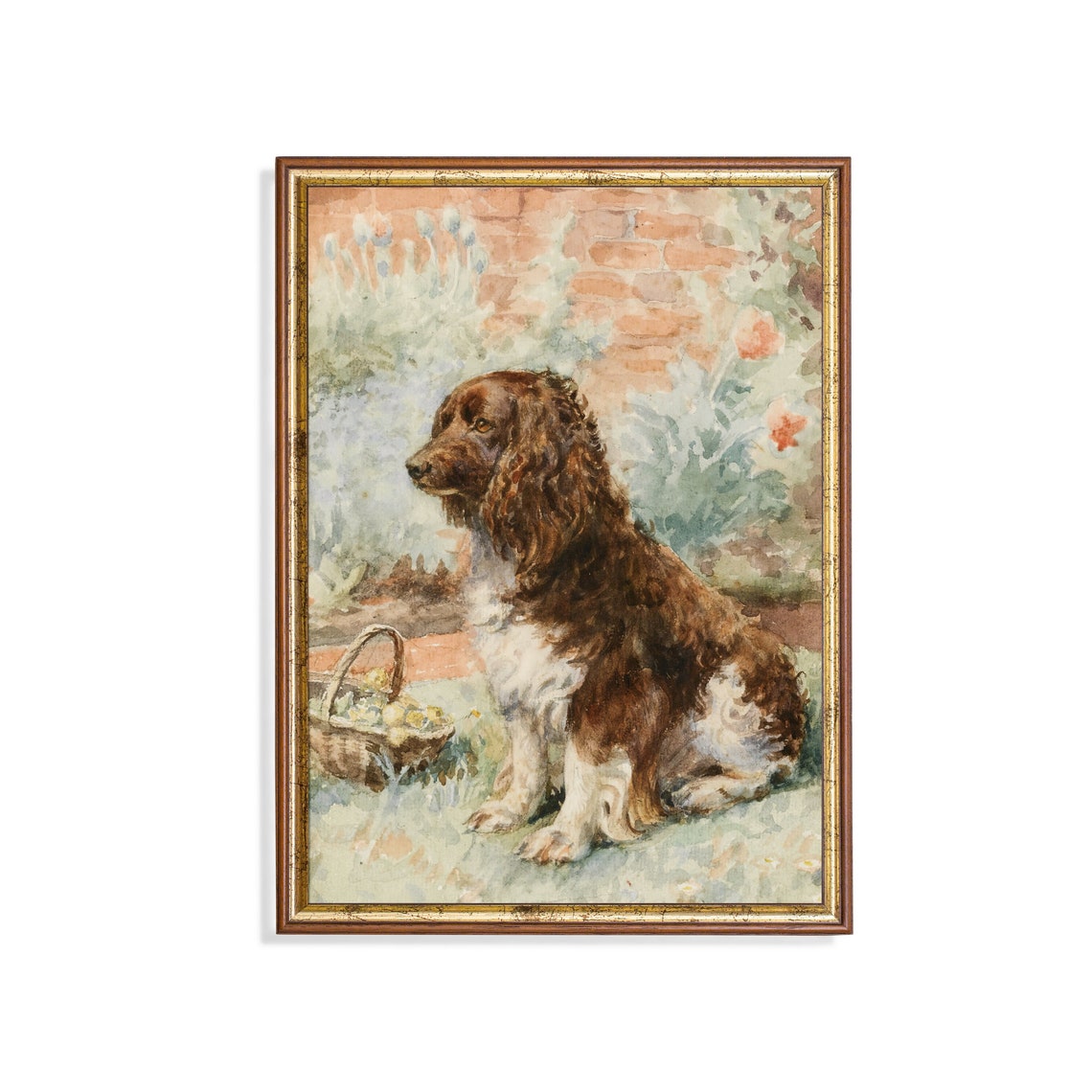 Brown and White Cocker Spaniel Watercolor Garden Portrait Poster