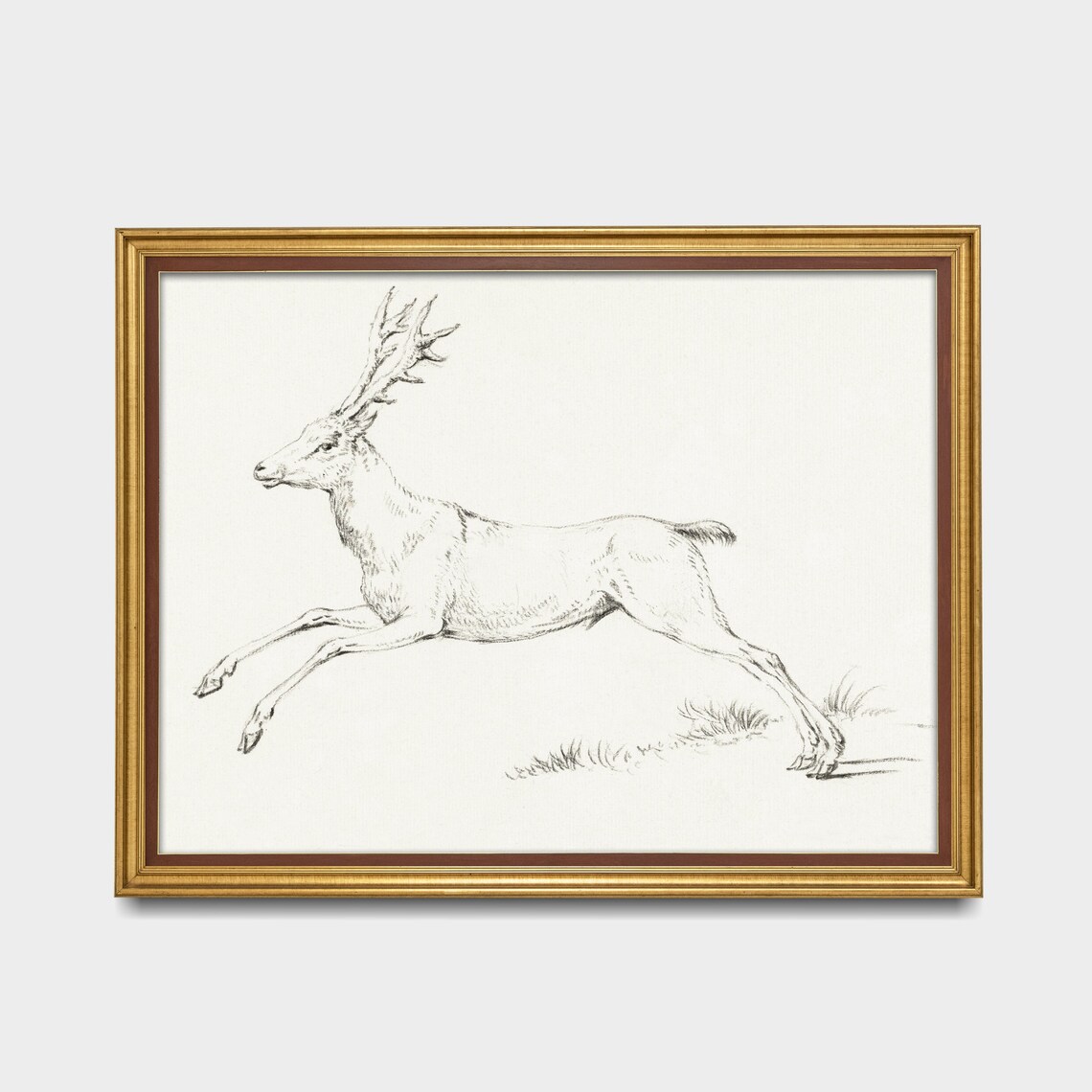 Leaping Stag with Grand Antlers Vintage Ink Sketch Wildlife Drawing Print - Image 2