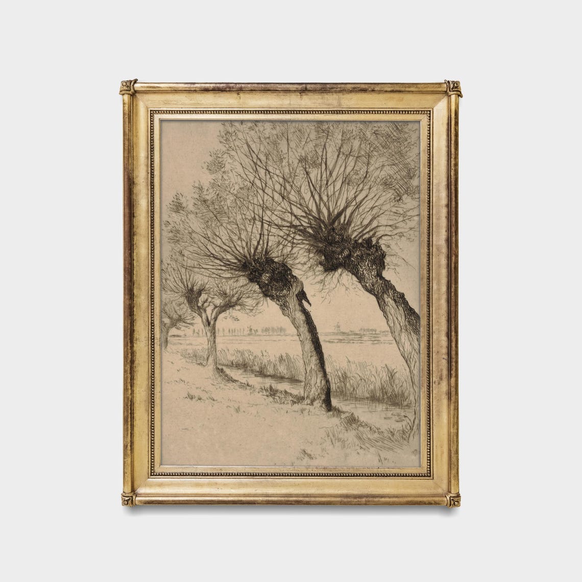Antique Pollarded Willow Trees By Water Sketch Drawing Art Poster - Image 5