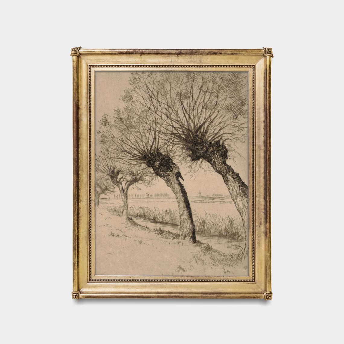 Printed And Shipped Vintage Tree Sketch Drawing Antique Sketch Print Neutral Art Forest Drawing Farmhouse Decor Physical Prints - Image 5