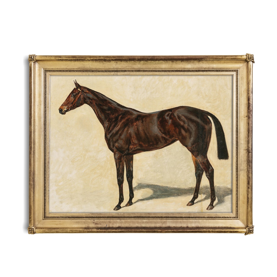 Dark Bay Horse Standing In Profile Vintage Equine Portrait Poster - Image 3