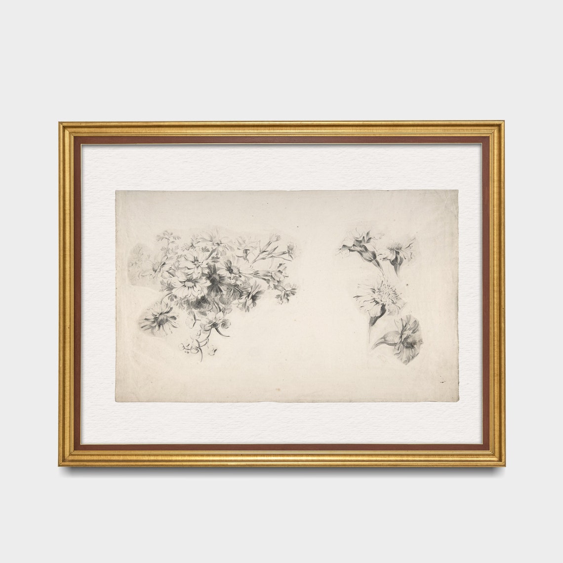 Pencil Floral Sketch Study Antique Botanical Drawing Art Poster - Image 3