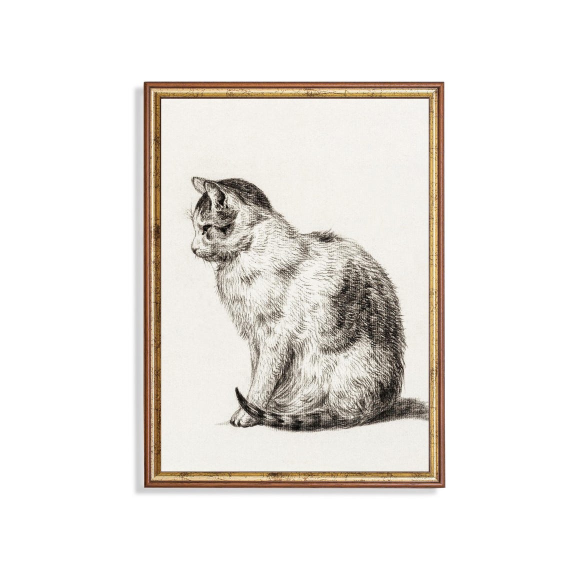 Seated Tabby Cat in Profile Vintage Graphite Pencil Study Poster