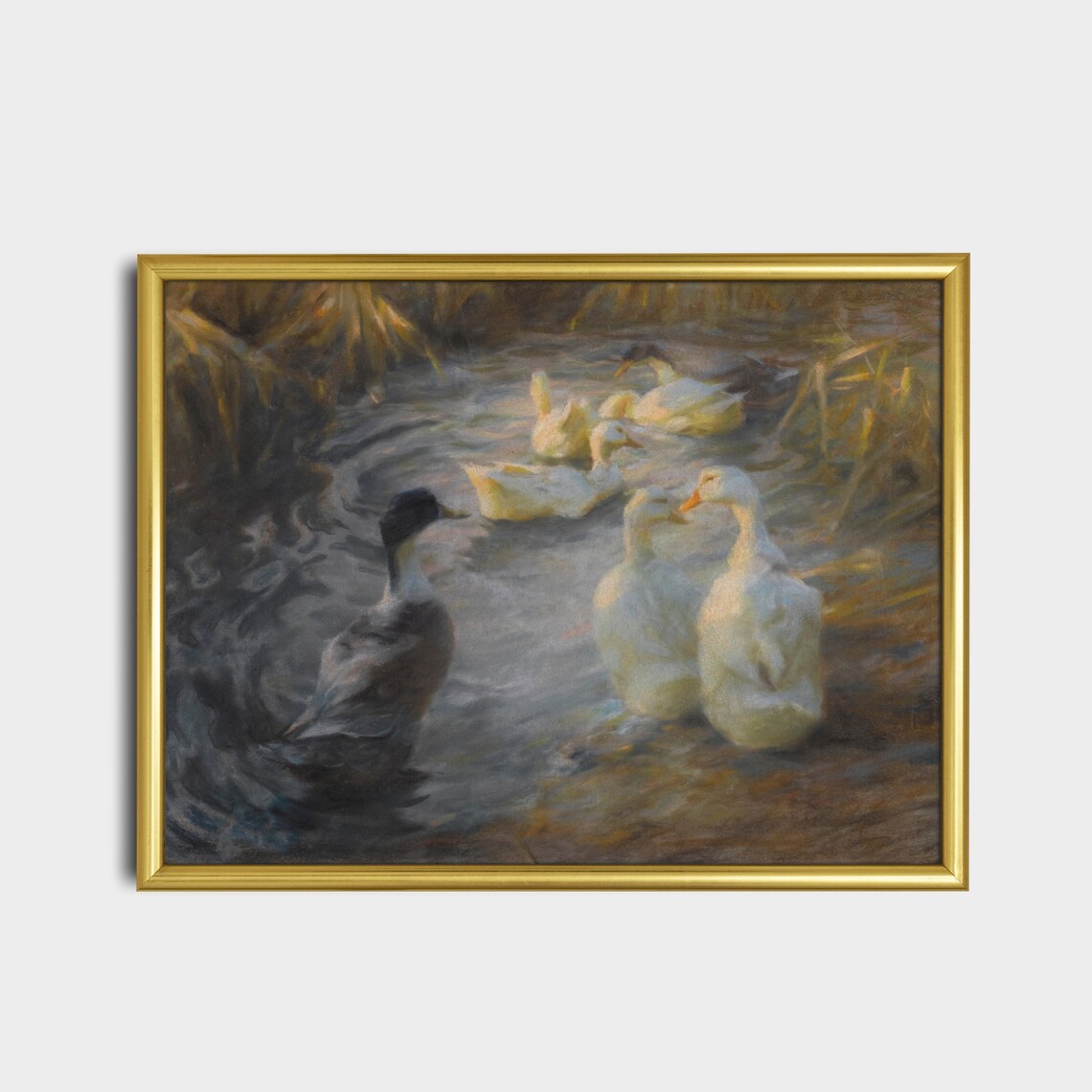 White Ducks and Mallard Swimming in a Reedy Pond Vintage Poster - Image 2