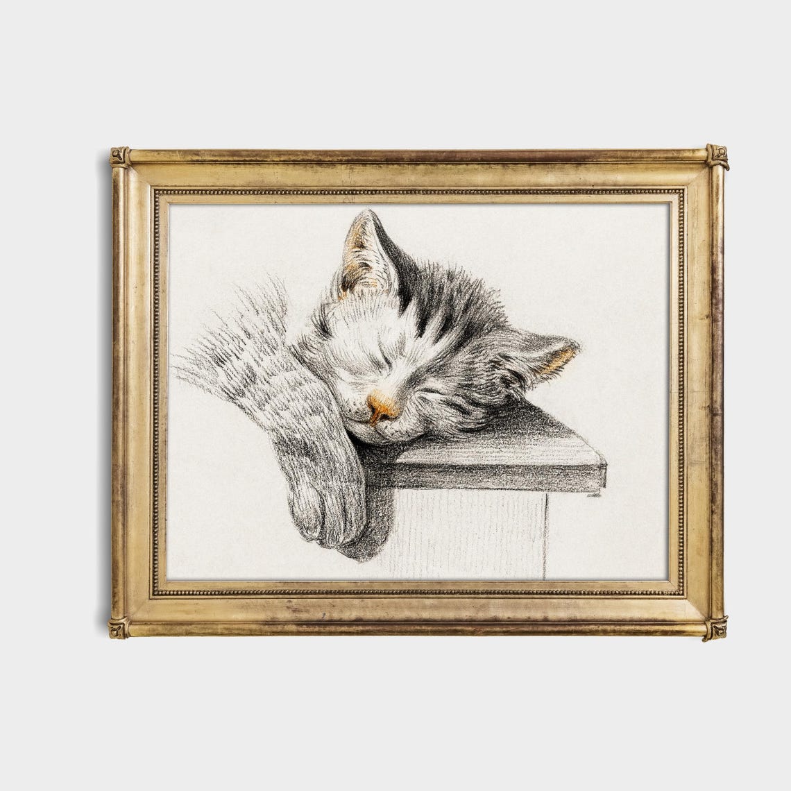 Sleeping Kitten Resting on a Wooden Box Charcoal Sketch Poster - Image 4