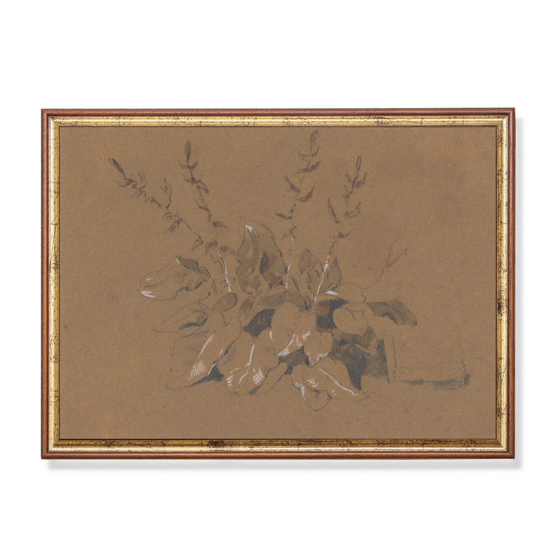 Antique Botanical Leaf Study Sketch Brown Paper Vintage Art Poster