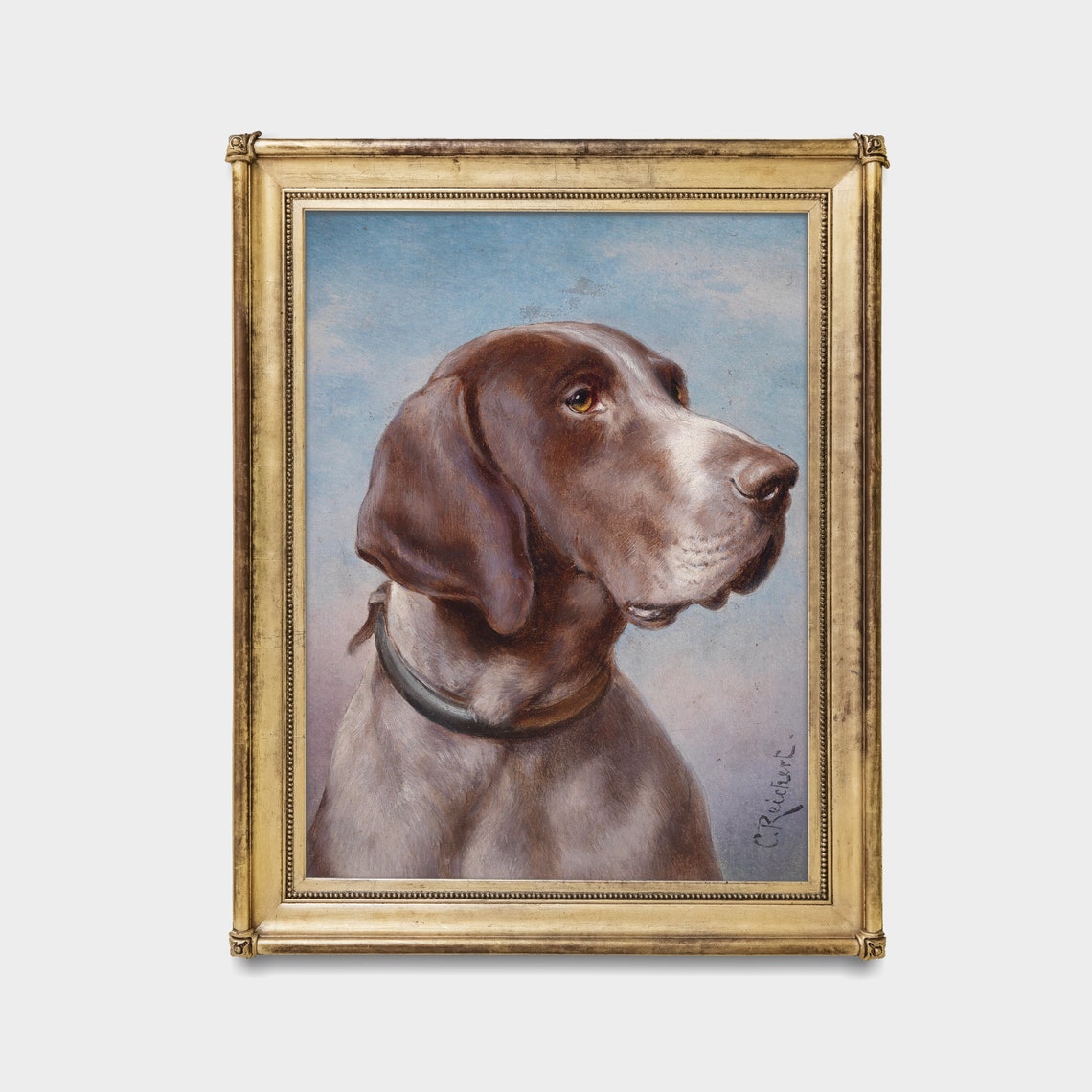 Vintage Pointer Dog Portrait Antique Gundog Head Study Oil Poster - Image 4