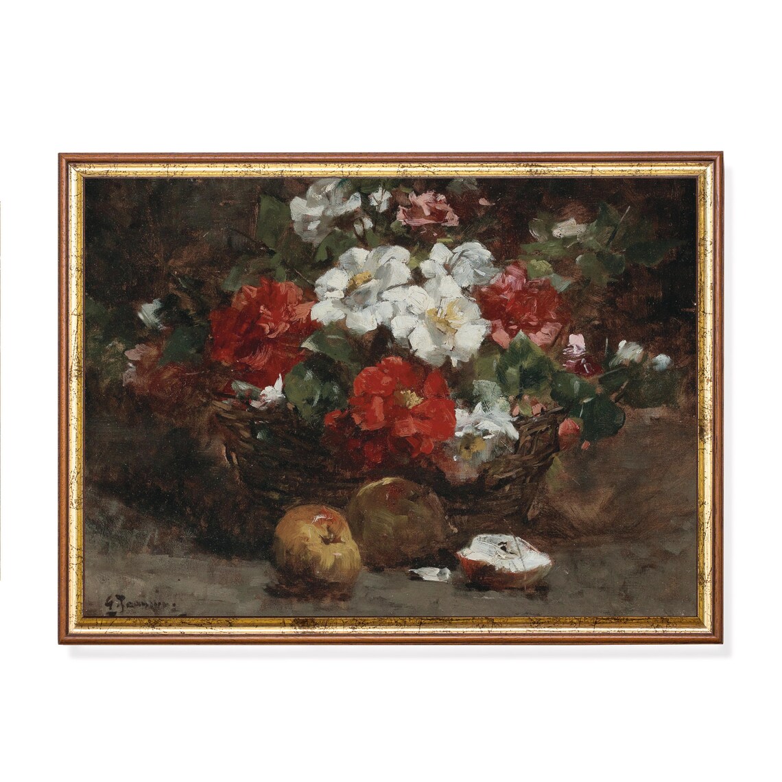 Basket of Red and White Roses with Apples Antique Still Life Poster